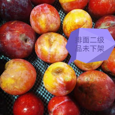 （烽火店）2023年9月16日五星专项巡查报告