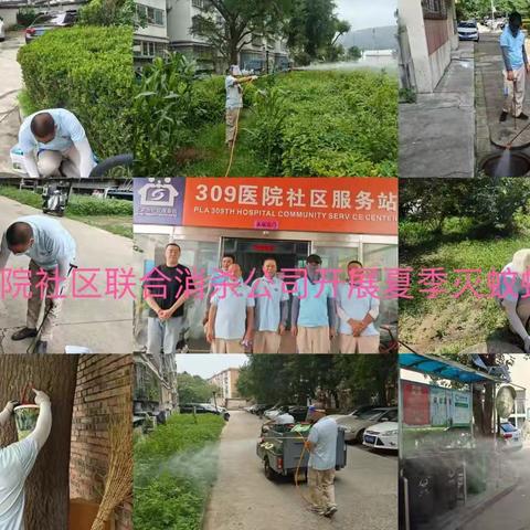 青龙桥街道开展2025年第一轮灭蚊蝇活动