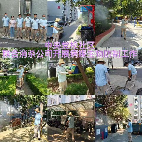 青龙桥街道开展2025年第二轮灭蚊蝇活动