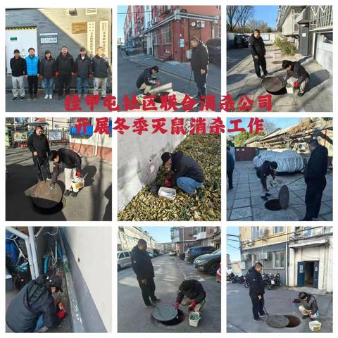 青龙桥街道开展2025年冬季统一灭鼠活动