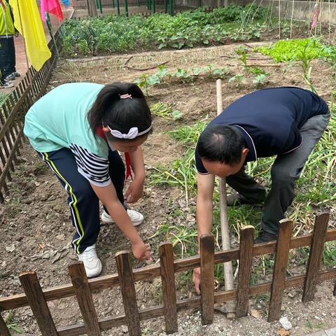 【全环境立德树人】蒜味飘香，收获成长