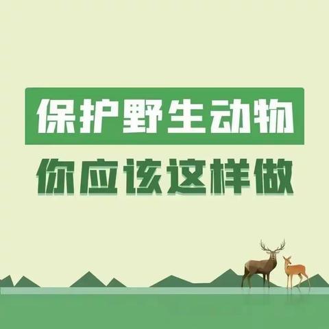 张店中心幼儿园“保护动物，从我做起”活动