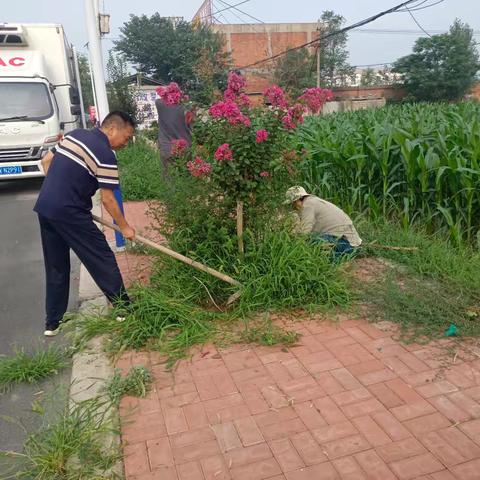 王庄村人居环境整治