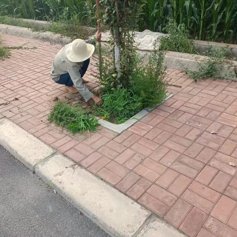 王庄村人居环境整治