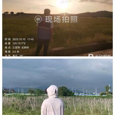 崖州区各村（社区）居开展焚烧秸秆整治工作日报
