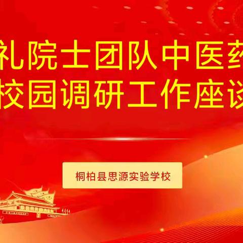 张伯礼院士团队赴桐柏县思源实验学校调研中医药文化活动纪实