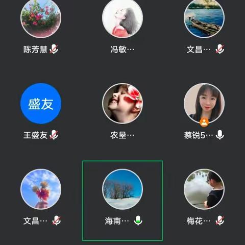 借他山之石，琢己身之玉——海南省小学卓越班主任梁胜娟工作室集中研修暨小学班主任专业能力提升培训活动