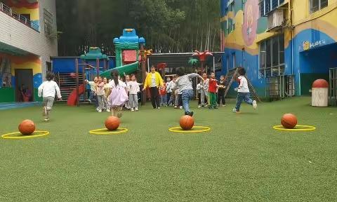 太子庙公办幼儿园大三班第十四周宝贝日常