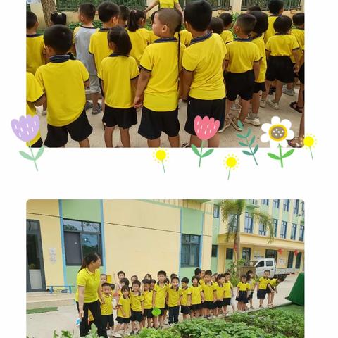 大三班《我们的小菜园》