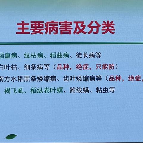 用户6471115的简篇