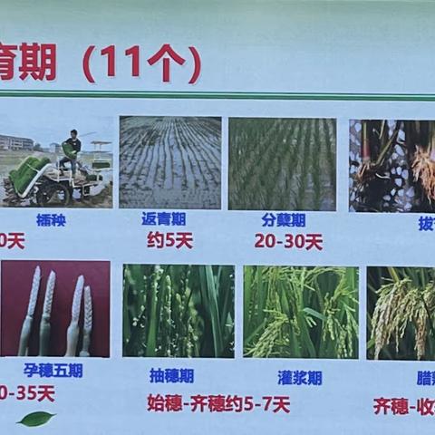 用户6471115的简篇