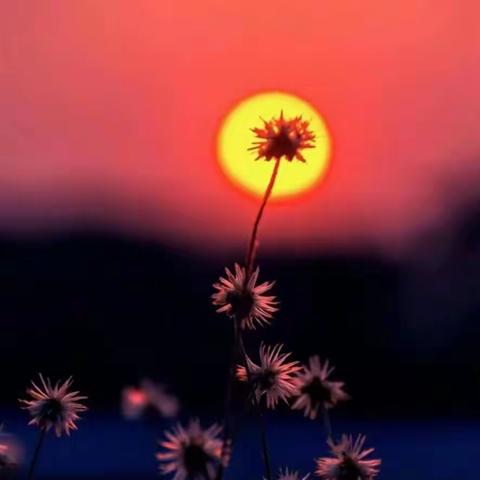 未来的变数太多，而我能做的，就是走好这一步。