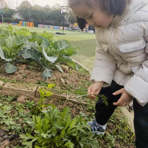 安幼唐场分园（大班）回顾精彩一周