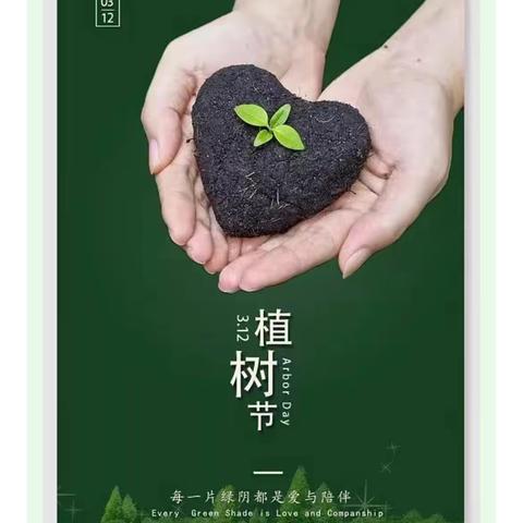 【植树节】 播种绿色，拥抱未来——-广信区第一小学二10班
