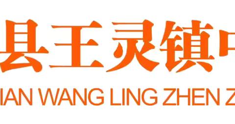 【党建+品质教育】“守护育幼底线，成就美好童年”——宾阳县王灵镇中心幼儿园2024年春季学期大班毕业典礼