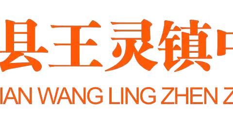 “用“心”回望，以“新”前行”——宾阳县王灵镇中心幼儿园2024年春季学期期末总结会暨集团化办园帮扶活动