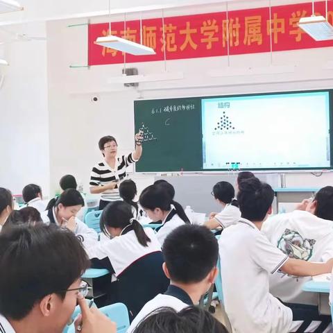 “碳”寻化学之妙 搭知识与素养之桥---国培计划（2024年）海南省中学化学骨干教师实验能力提升培训