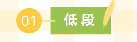 聚焦新课标  研读任务群  共创新课堂——横峰县实验小学《语文课程标准(2022版）》读书分享会