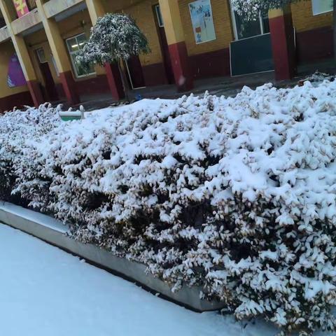 一场校园里的冬❄️——北孟庄小学雪后纪实及居家学习安全提示