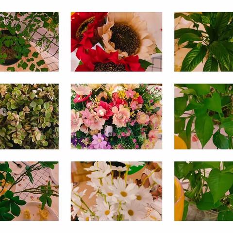 七彩阳光幼儿园——中班期末大聚会