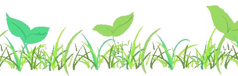 七彩虹南幼儿园——《今天你植树了吗？》