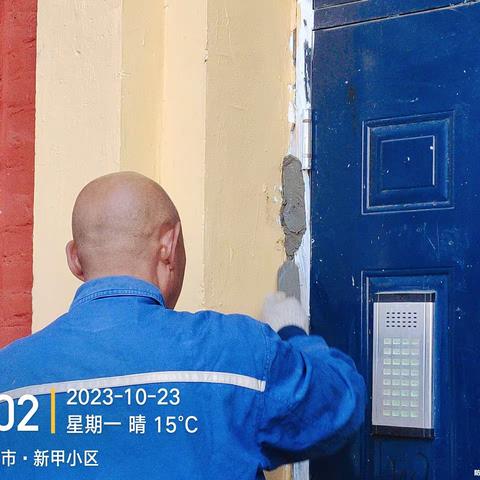 清悠、独享的简篇