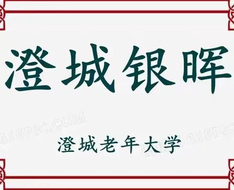 澄城县老年大学网宣部召开2023年度通讯员第二次会议