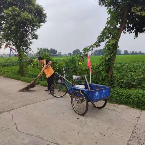 湖滨村开展环境整治