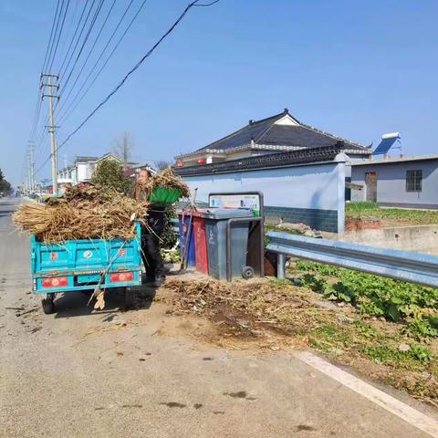 湖滨村开展环境整治