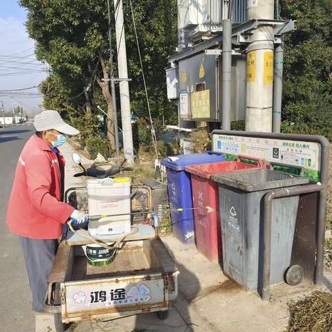 湖滨村定期开展垃圾桶消杀