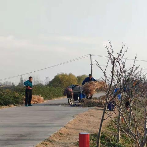 湖滨村持续深入开展环境整治