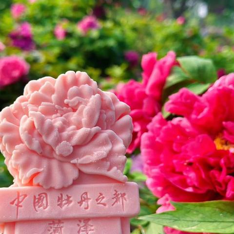 彩泥生天香 妙手绘乡贤 —— 菏泽市第一实验小学长江路校区六年级“牡丹文化”特色校本课程