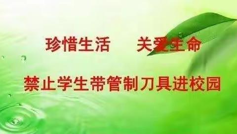 【排查管制刀具，确保校园安全】成安镇王彭留小学收缴管制刀具安全教育活动