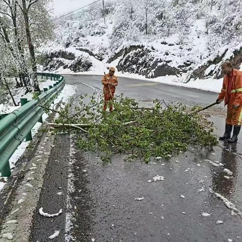 沁源公路管理段：四月飞雪公路人及时清理雪后树木断枝保畅通