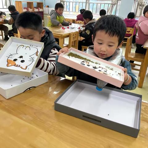 小班种子游戏：播撒好奇，收获成长