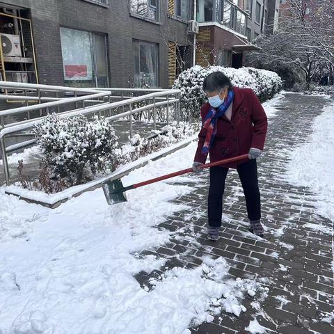 雨雪冰冻，志愿先行—紫成嘉园社区扫雪铲冰志愿活动