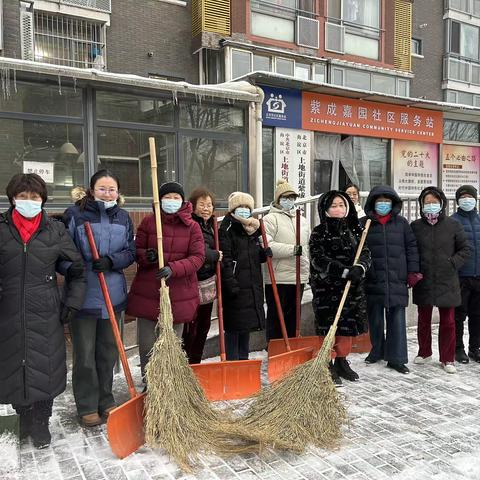 “迎战风雪 志愿同行”—紫成嘉园社区扫雪除冰志愿活动