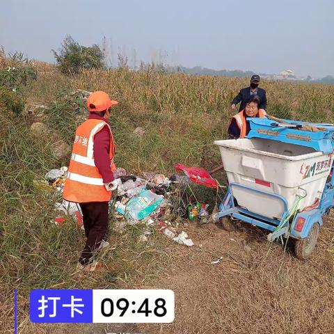 西阳城乡开展人居环境整治行动，助理美丽乡村建设
