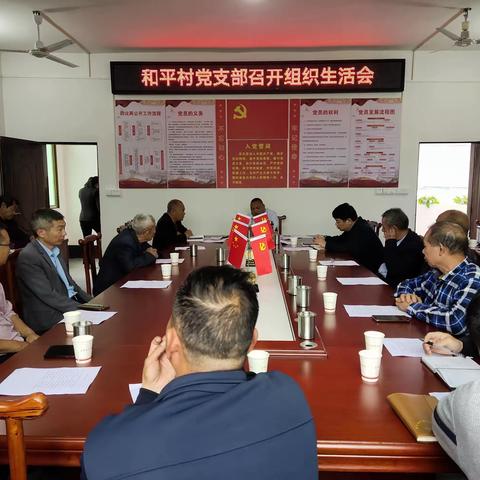 『盘古山镇和平村文明实践站』召开组织生活会，凝聚发展新动力主题活动
