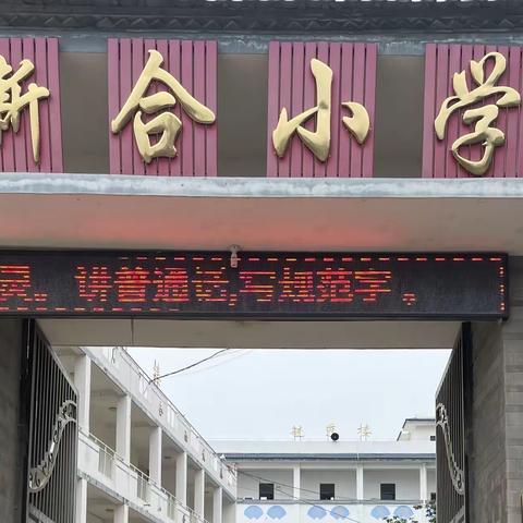 🌱不负春光，快乐春游🌱——新合小学春游记