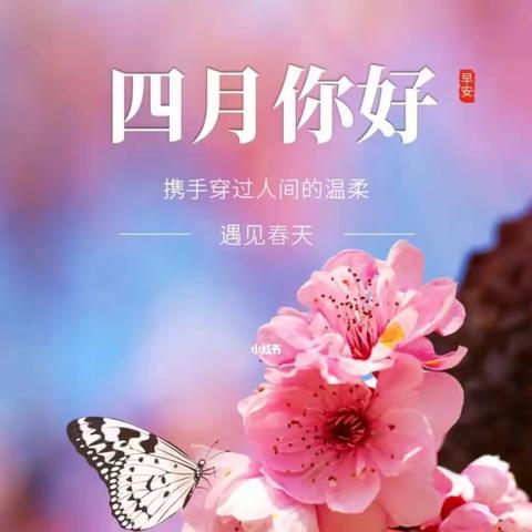 多彩四月   美丽校园——天水市建设路第三小学第十周工作总结