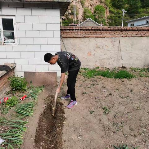 ''缤纷五一 童心飞扬''五一劳动节主题活动