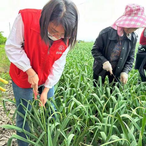 田间地头干农活 真情帮扶暖人心