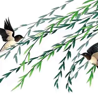 春天为大地穿上新衣，我们为教室换上新装﻿——同家庄镇杨家庄小学班级文化评比