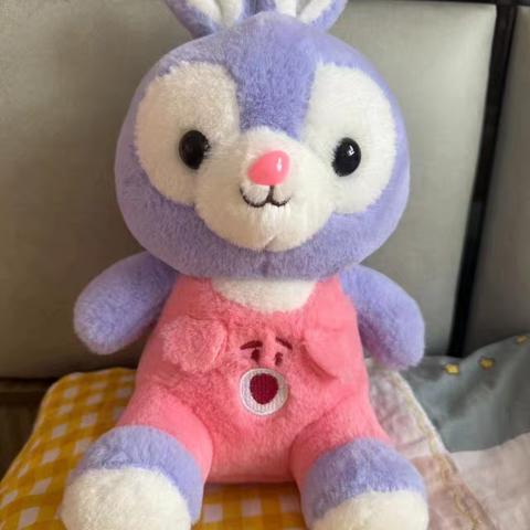 东关二校五一班优秀作文精选 ——我的心爱之物