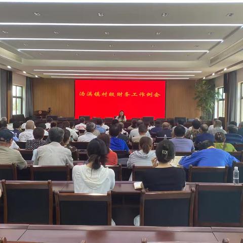 汤溪镇组织召开7月份村级财务工作例会