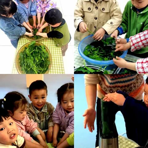 砫蒲小学附属幼儿园“人间四月天，诗韵寄情思”邂逅春天的限定记忆——青团制作活动