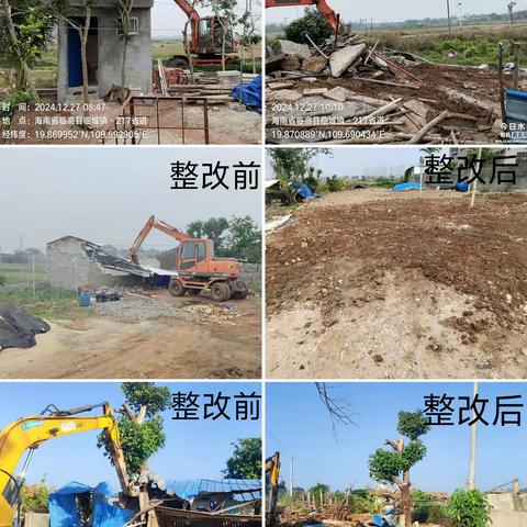 守护耕地红线│临城镇拆除占用耕地违法建筑行动纪实