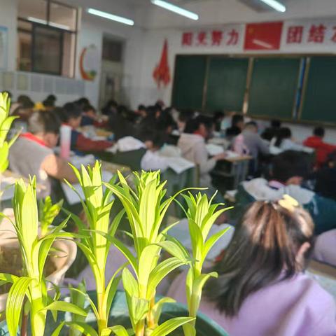 百合成长记