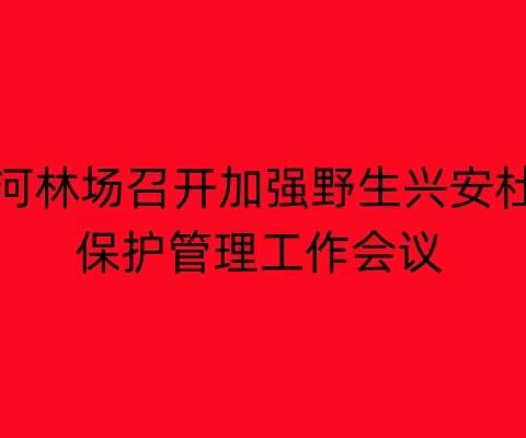 2023年龙河林场开展野生兴安杜鹃保护管理行动